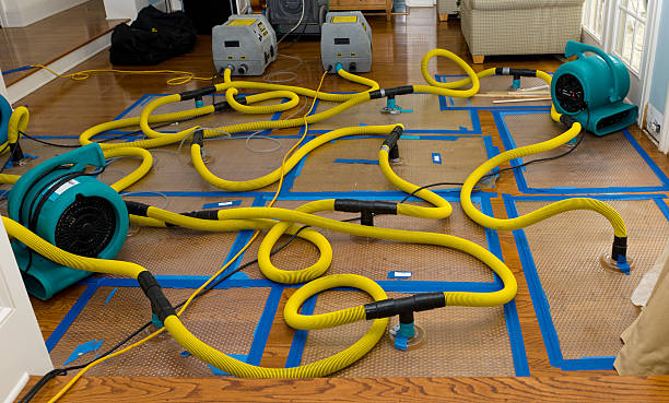 Professional Crawl Space Water Removal technician working in Warrenton, OR